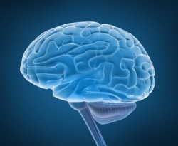 What Is Epilepsy? What Causes Epilepsy?