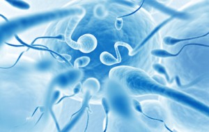 Infertility Treatment