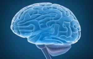 Brain Surgery