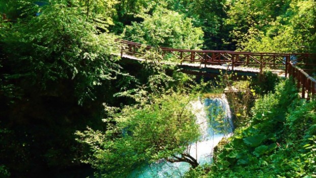 Macedonia