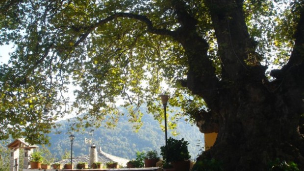 Thessaly